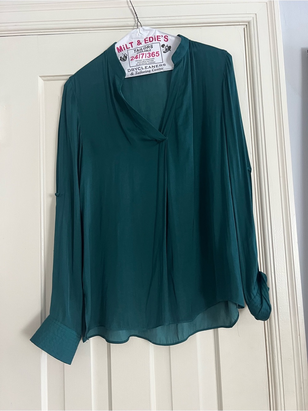 Naked Zebra Teal V-Neck Long-Sleeve Blouse